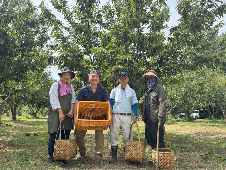 規格外の栗に新たな価値を ─ 石井食品の“栗プロジェクト”から広がる挑戦