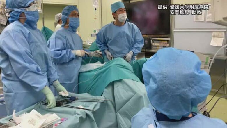 凍結した“卵巣組織”抗がん剤治療後に母体に移し無事出産　愛媛大病院が四国で初めて成功【愛媛】｜FNNプライムオンライン