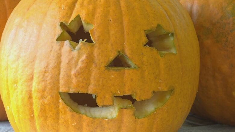 ハロウィンの「ジャック・オー・ランタン」作り　かぼちゃの底に穴を開け、目や口をくり抜き…1時間半で完成　小学生「上手いなって見てほしい」　長野・安曇野市で24日にイベント｜FNNプライムオンライン