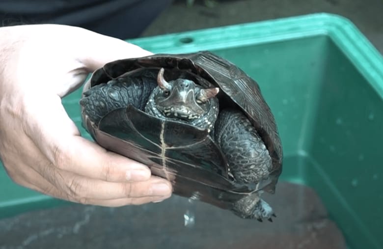 (提供:体感型動物園「iZOO」)