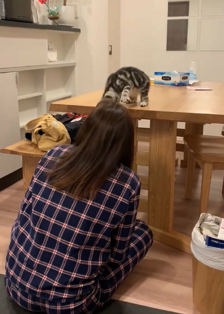 タッチしない？