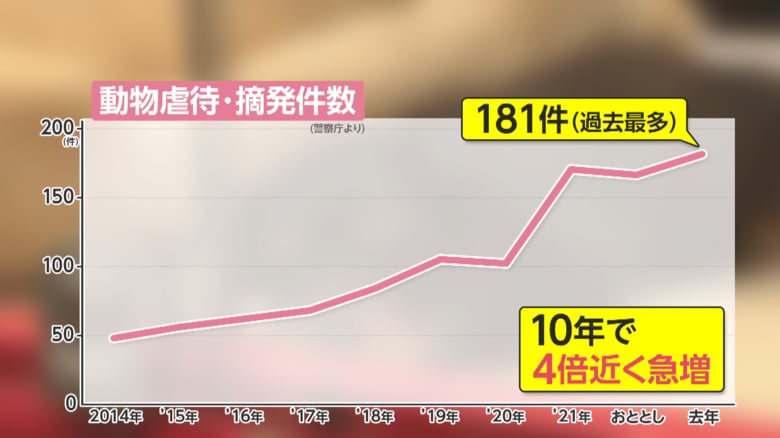 警察庁によると全国で摘発された動物虐待事件の件数は急増している