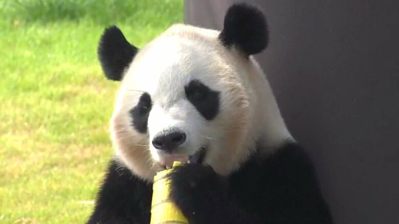 お疲れ様「楓浜」