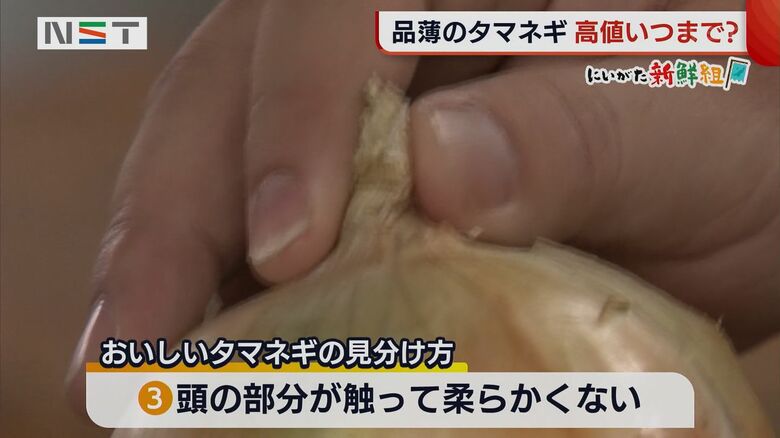 おいしいタマネギの見分け方〈3〉