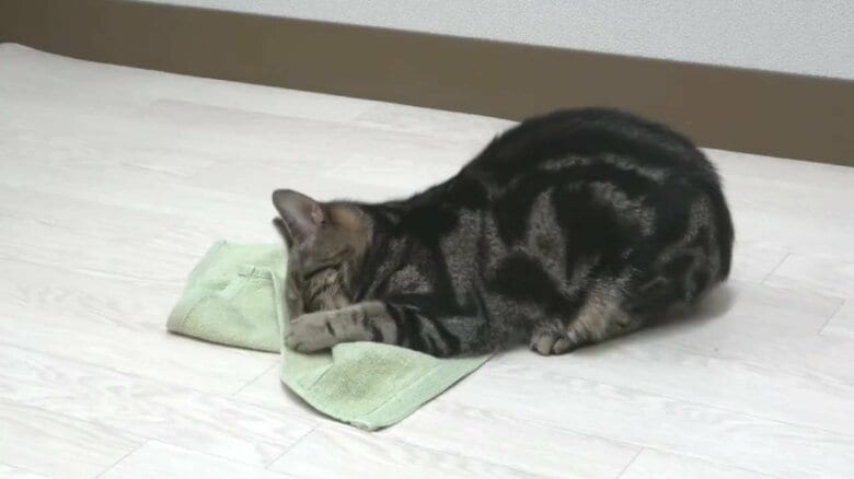 （出典:岩手大学）