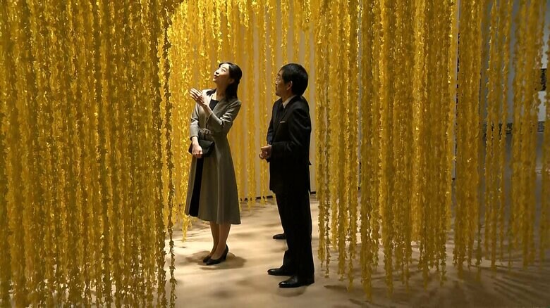 須藤玲子さん作「ピカチュウの森」をご覧に