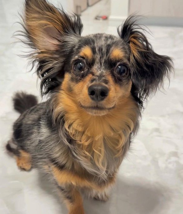 提供：チワックスの諭吉くん。さん