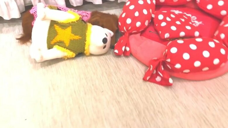 犯人の理事長ちゃんはぬいぐるみの陰に隠れていた