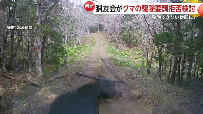 ヒグマが車に突進してフロントガラスとワイパーを破壊する様子