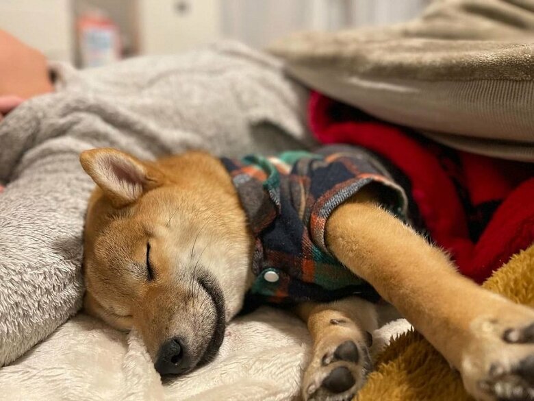 ピッタリくっついて寝ている