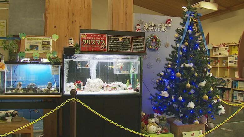 とっとり賀露かにっこ館のクリスマス展示