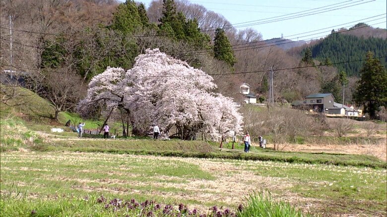 大河ドラマのオープニングでも
