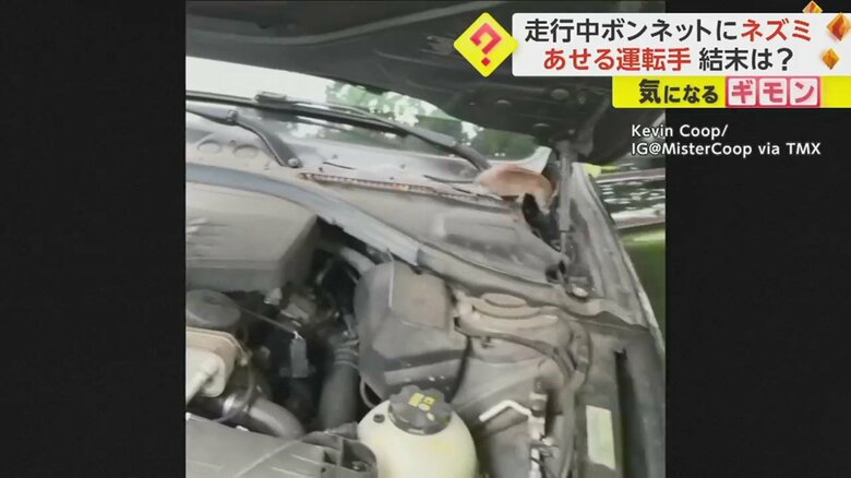 隙間をのぞき込んで…