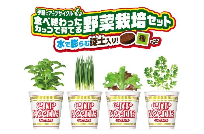 （日清食品公式サイトより）※画像はイメージ