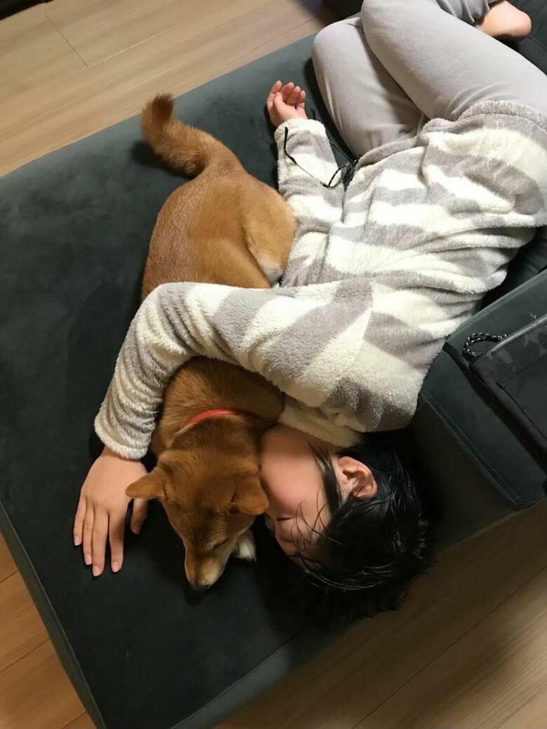 はねちゃんとけいちゃんは仲良し（提供：柴犬けいちゃん）