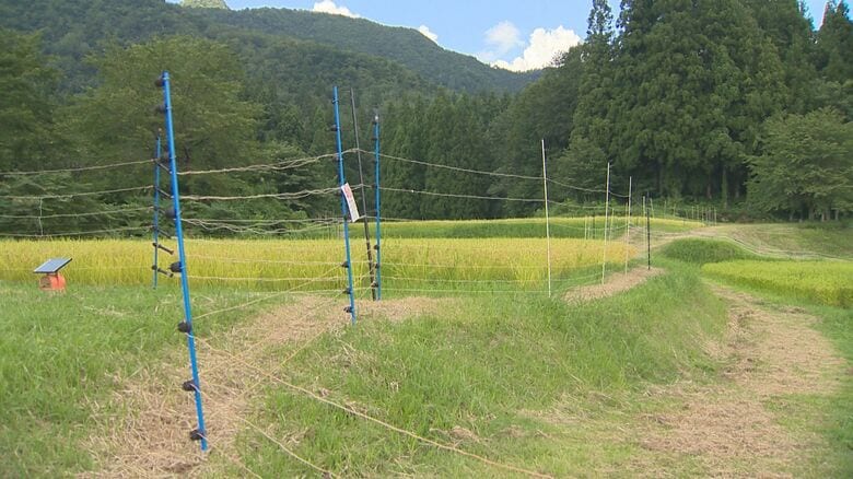 電気柵