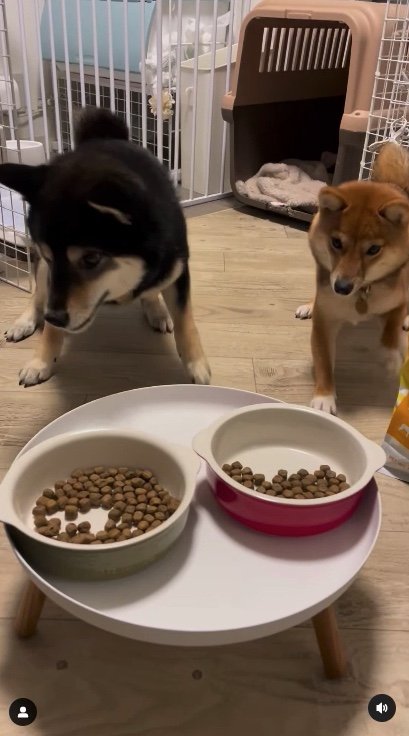 提供：まめふく&ゆめくりさん