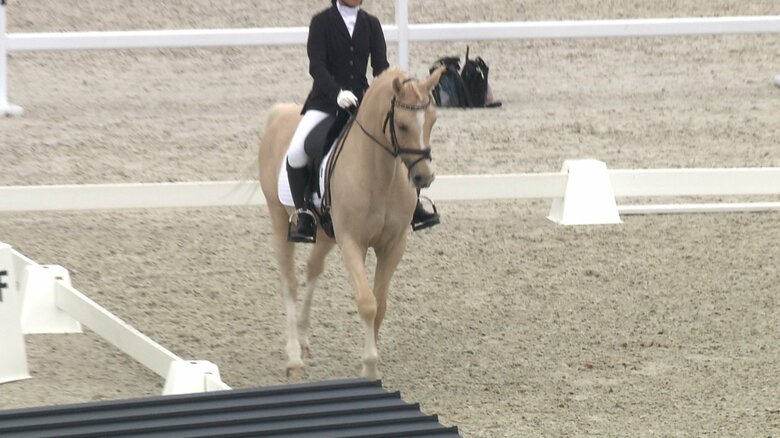 馬場馬術のジュニア全国大会