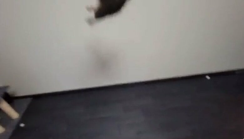 壁を蹴ったと思ったら…