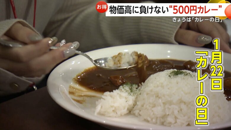 鶏肉や野菜がたっぷり使用された欧風カレー