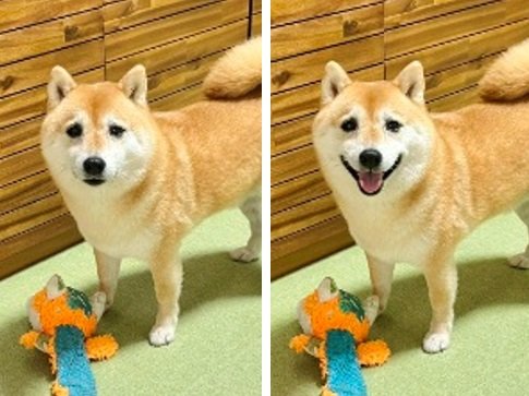 たちまち笑顔に！