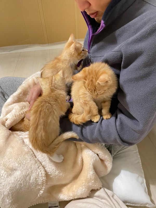 提供：oimo & yuzukiさん