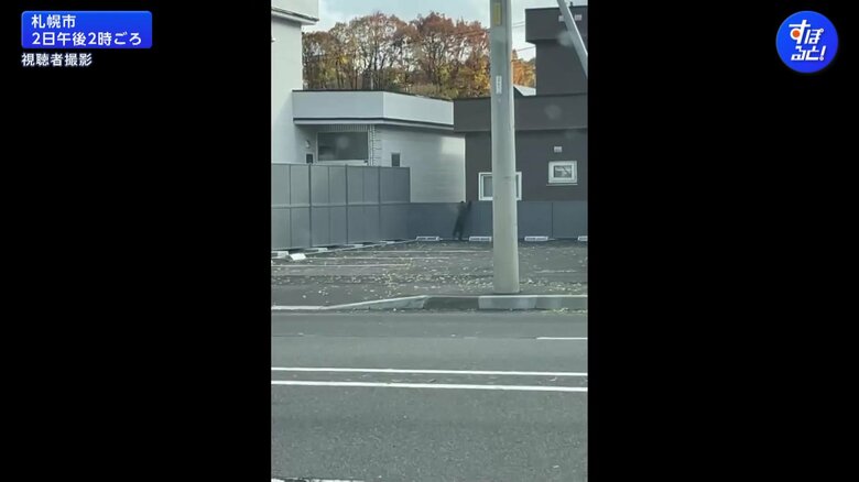 札幌市南区の住宅街に、2日午前11時半ごろから体長70cmほどの子グマ1頭が出没