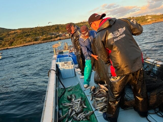 塩塚さんたちは魚の鮮度を保つための「五島締め」や未利用魚の加工を行っている