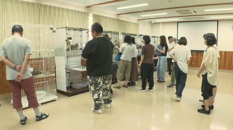 「休日譲渡会」