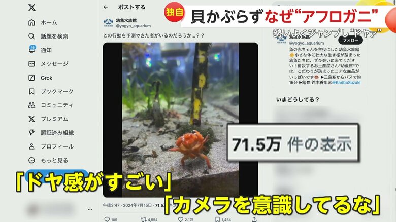 SNSで映像が70万回以上再生され話題となっている