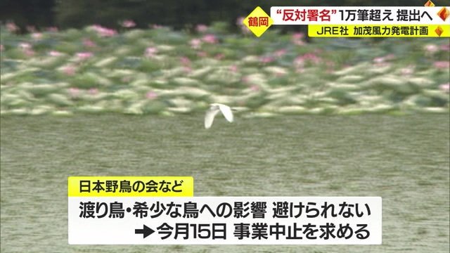 日本野鳥の会も事業中止求める