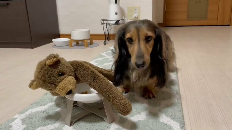 提供：るのんさん