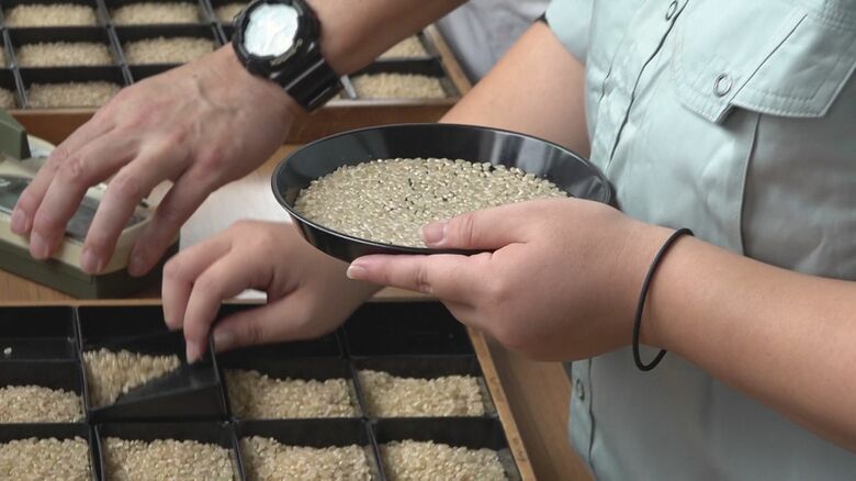 魚沼産コシヒカリの品質検査