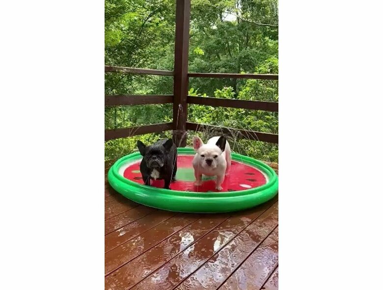 提供：天使の笑顔さん