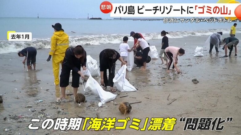 ケドンガナンビーチでゴミ拾いをするボランティア（インドネシア・バリ島）