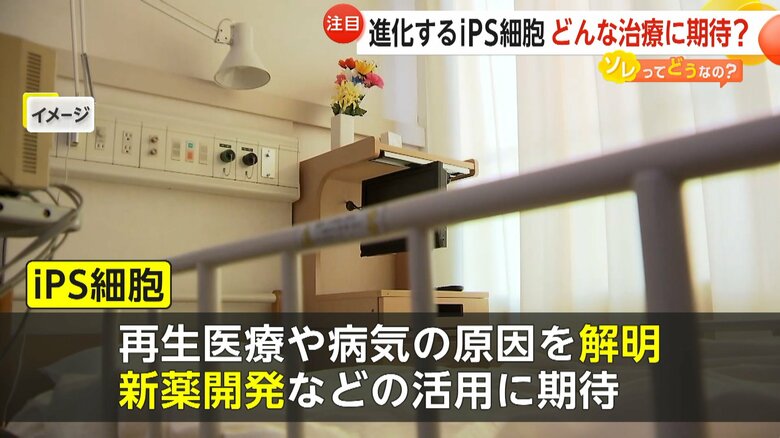 医療の発展と実用化に期待が寄せられるiPS細胞