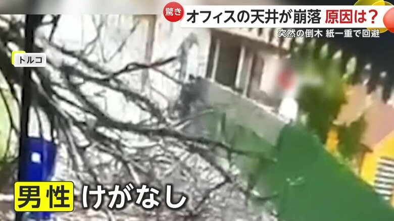 道に倒れてきた木を避けた男性（画面中央）（IHA）