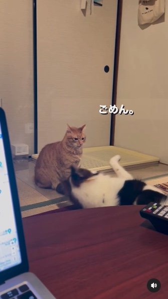 提供：naomiさん