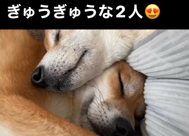 一緒に眠ることも