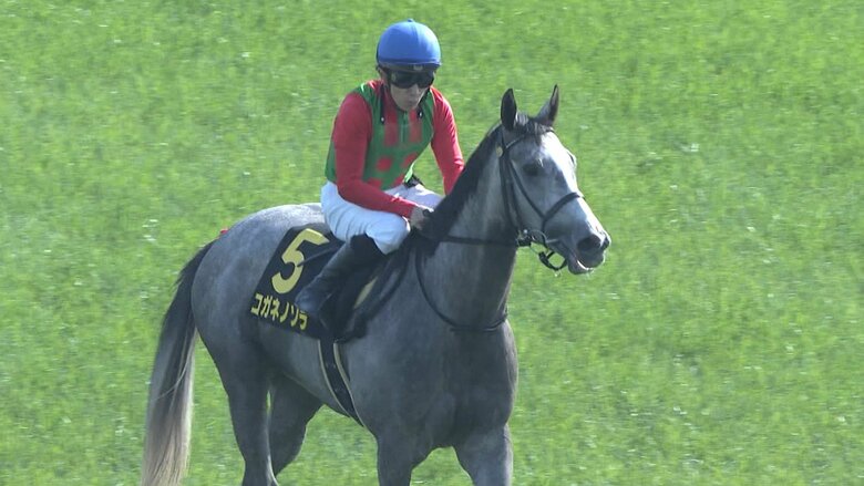 ３連勝で勢いに乗る コガネノソラ