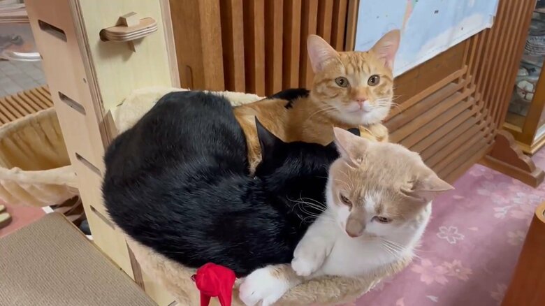 狭いところでも密着する