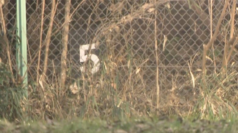 頭蓋骨のようなものが見つかった赤塚公園　東京・板橋区