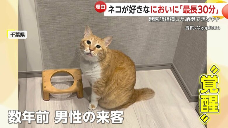 数年前、男性の来客があったときに靴のにおいに”覚醒”したというぐっぴー