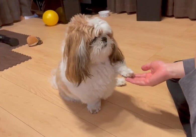 控えめなタッチの「おかわり」