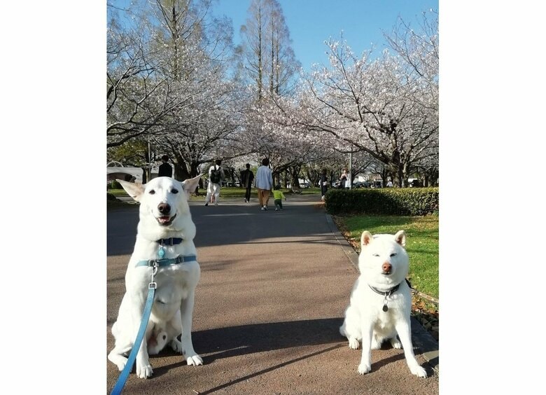 無事に並んで撮影できた写真（提供：テラゾーさん）