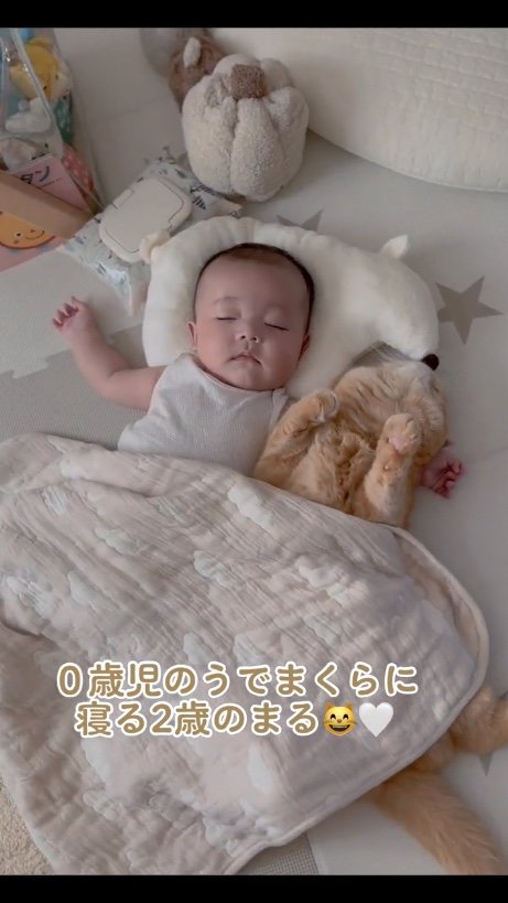 提供：ひなまる色さん
