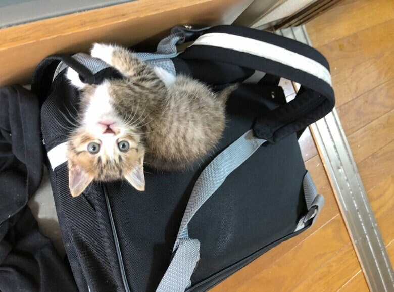 もずくくん（提供：もずく＆こんぶさん）