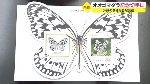 国内最大級の蝶 オオゴマダラの記念切手 沖縄県の蝶に制定