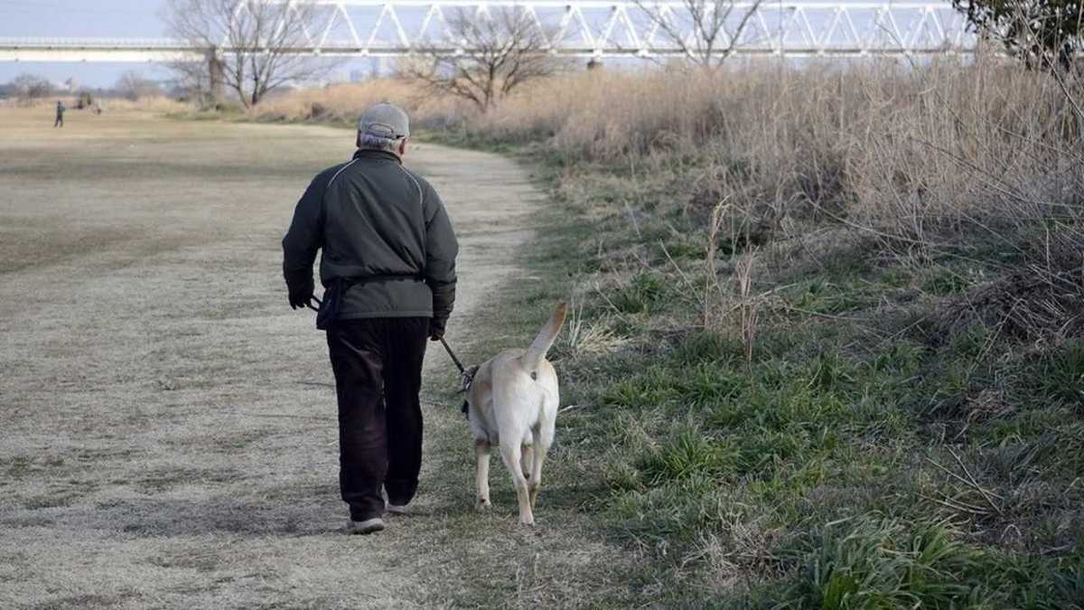 車に乗りながら犬を散歩 動画に批判殺到 考えたい高齢者のペット飼育