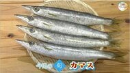 年に２度旬を迎える魚！？「カマス」の魅力は鮮魚のプロおすすめの「塩焼き」で味わえるホクホク食感【瀬戸内旬紀行　岡山・香川発】